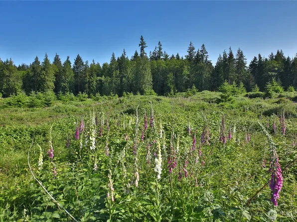 2062 Goodell Road, Freeland, WA 98249
