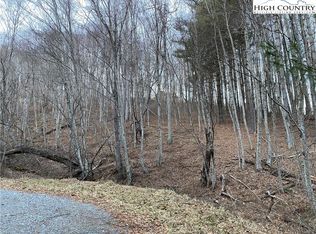 Lot 55 Laurel Mountain Drive, Sparta, NC 28675