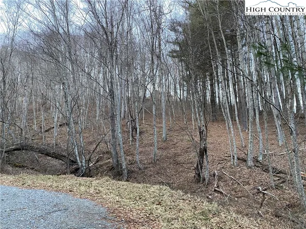 Lot 55 Laurel Mountain Drive, Sparta, NC 28675