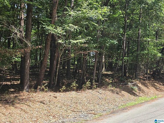2nd image of 4875 War Eagle Dr