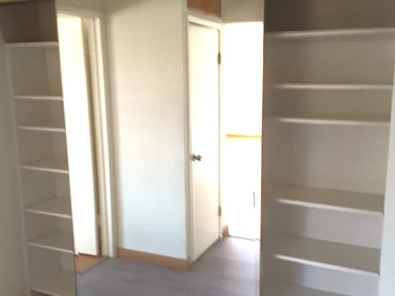 In the hall area, you will find a wall-to-wall closet with big mirrored sliding doors plus two other separate closets
