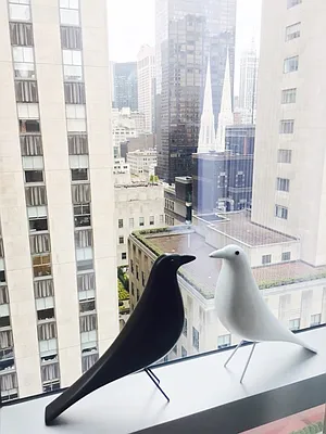 Rented by Winzone Realty Inc | media 13