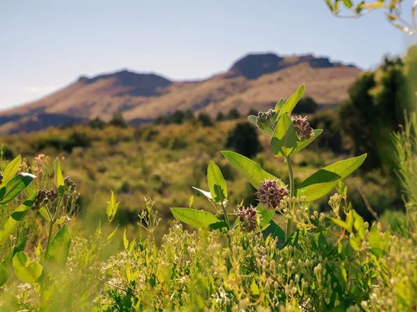 568 Pronghorn Trail, Del Norte, CO 81132