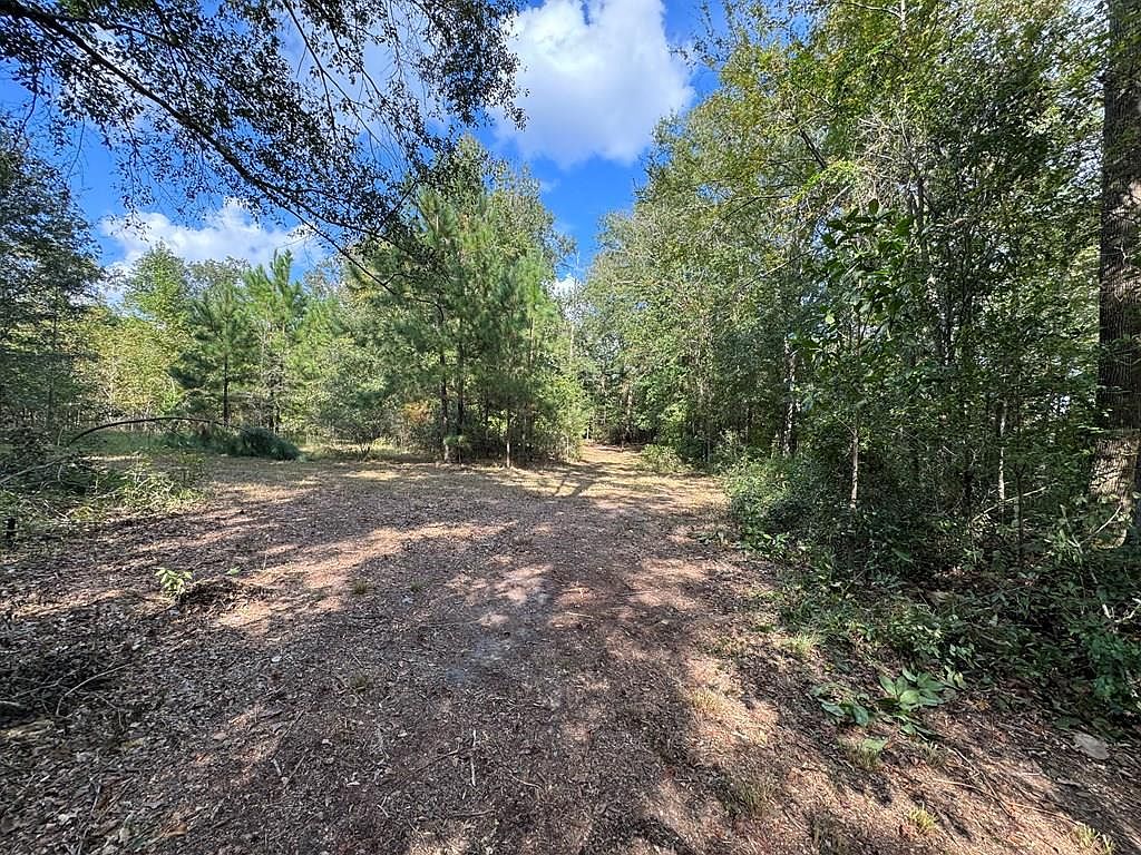 0 E Golden Isles Hwy, Lumber City, GA 31549 MLS 21062 Zillow