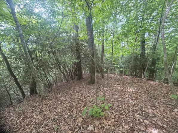 Tellico Rd Lot Wp001, Franklin, NC 28734