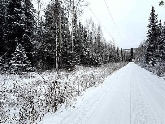 2nd image of 0 Chena Hot Springs Rd