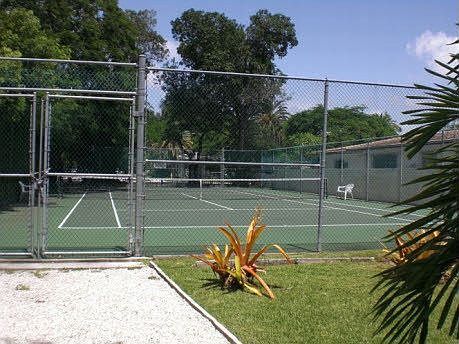 tennis