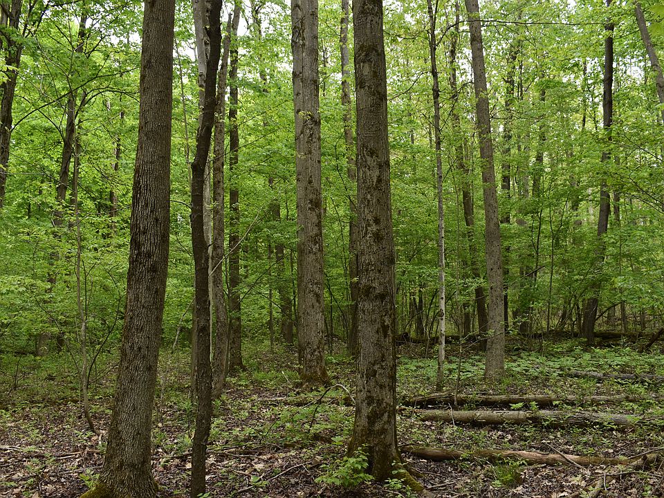 1st image of Harris Hollow Rd