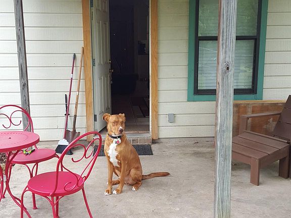 Covered back porch