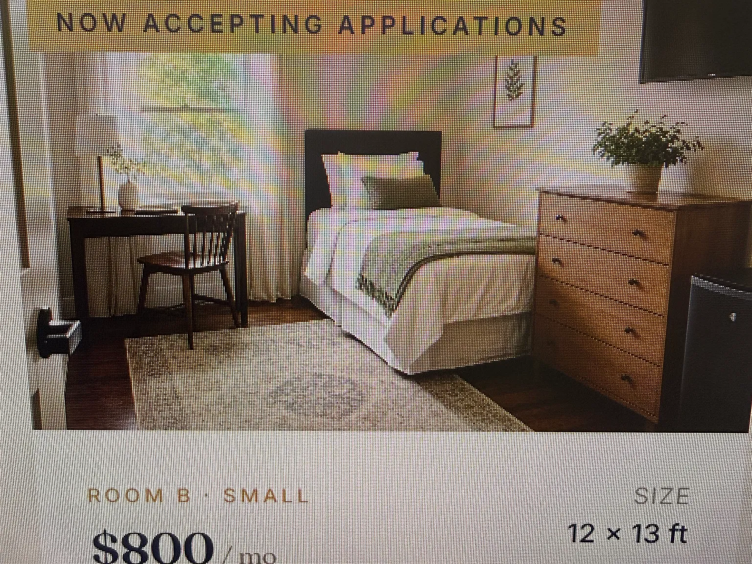1 bed, 156 sqft, $900 — Photo 1