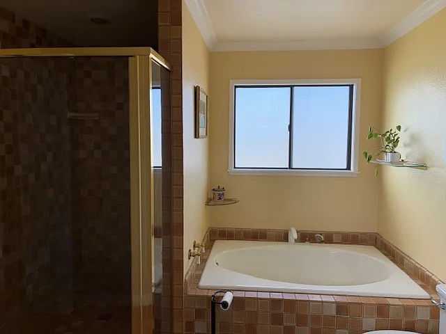 Shower and tub