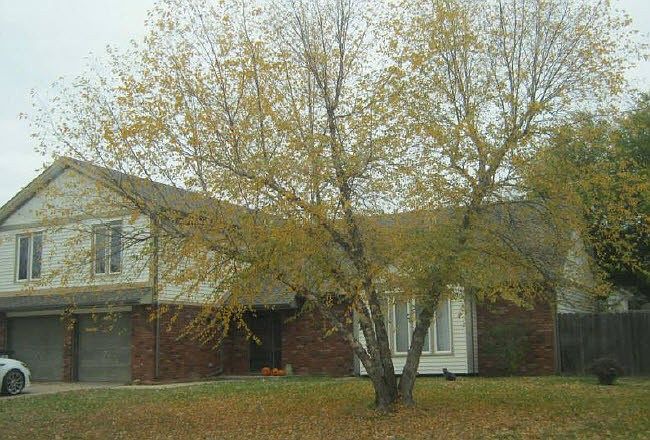 2nd image of 1444 N Caddy Ct