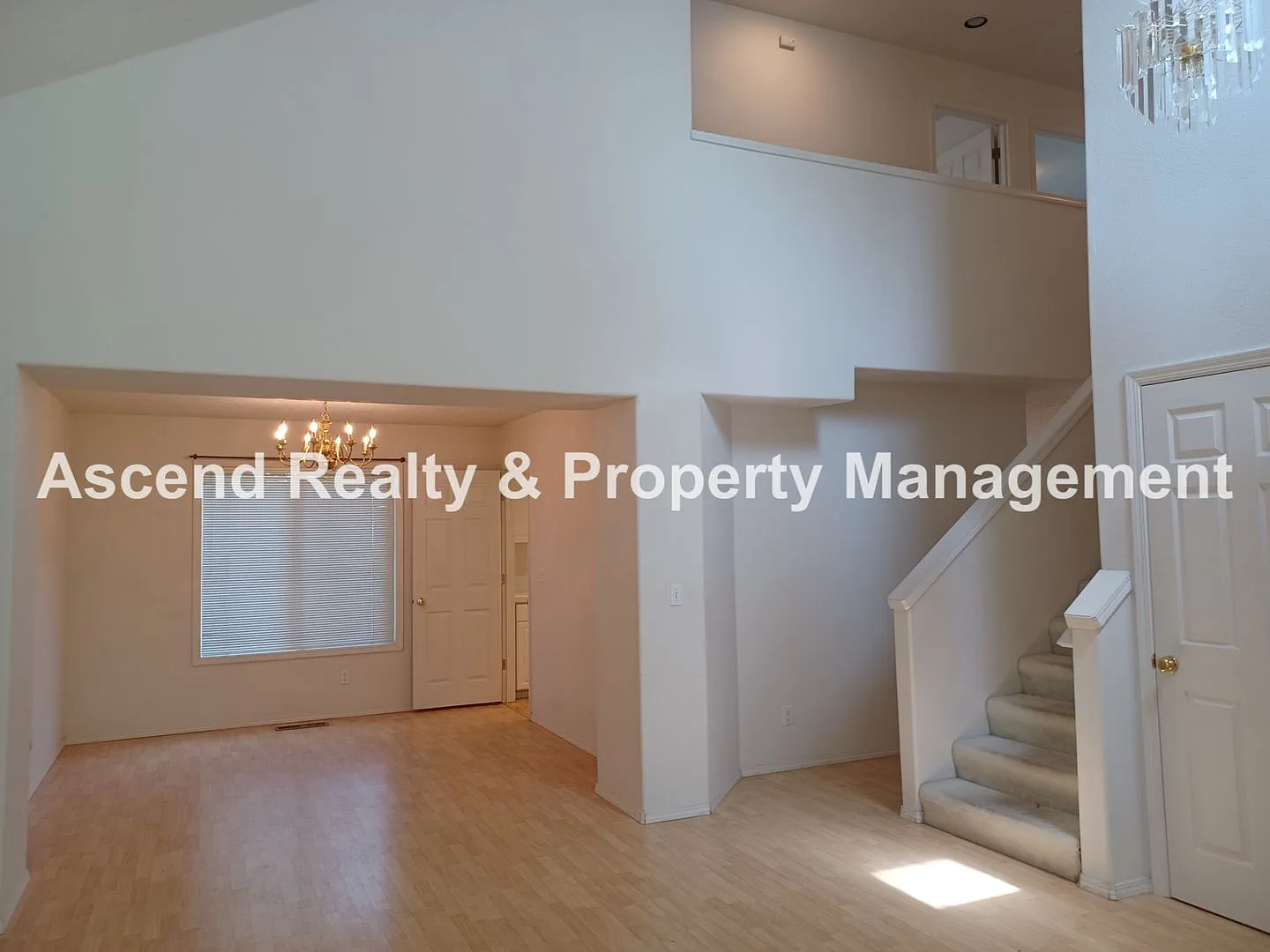 Available NOW! Bright Four Bedroom Bethany Home Open Kitchen/Dining/Family Room, Fenced Yard & Ya... — Photo 3