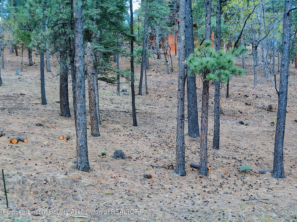 2nd image of 61 Fort Stanton Rd