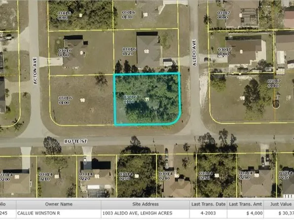 1003 Alido AVE, LEHIGH ACRES, FL 33971