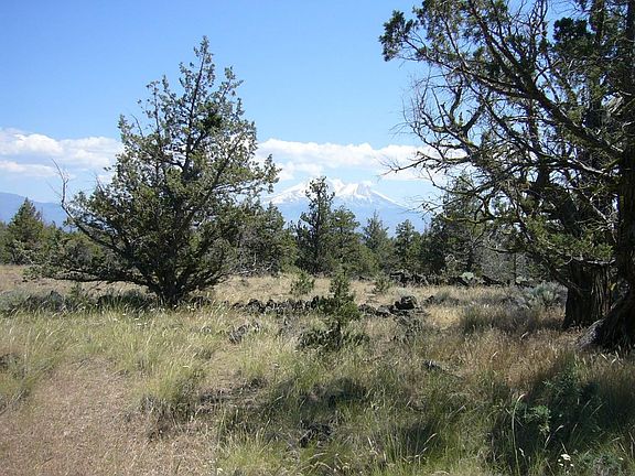 4th image of Yuba Meba Rancho Rd