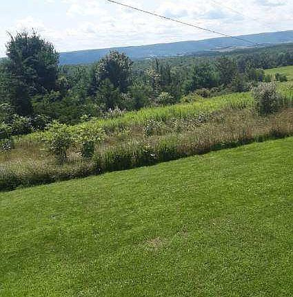 View from deck and Kitchen
