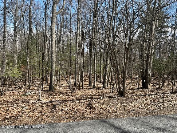 2nd image of Lots 22 & Daffodil Rd