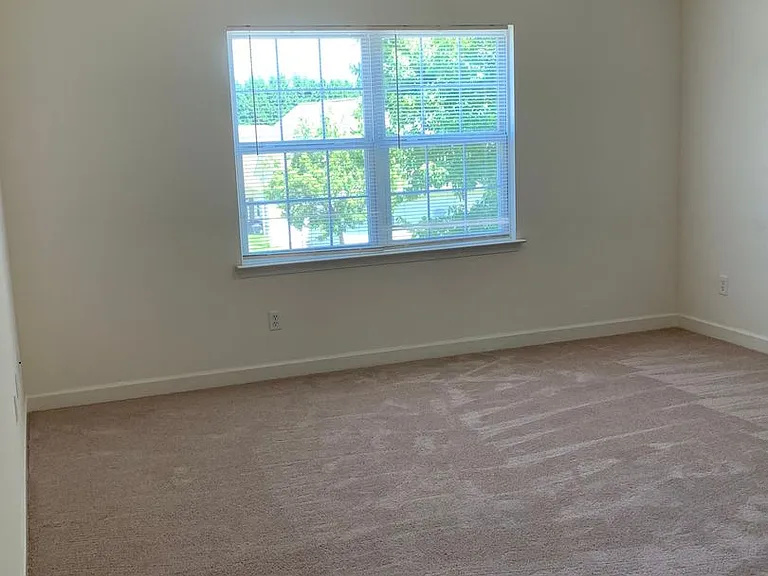 115 Clusters Cir — Photo 12
