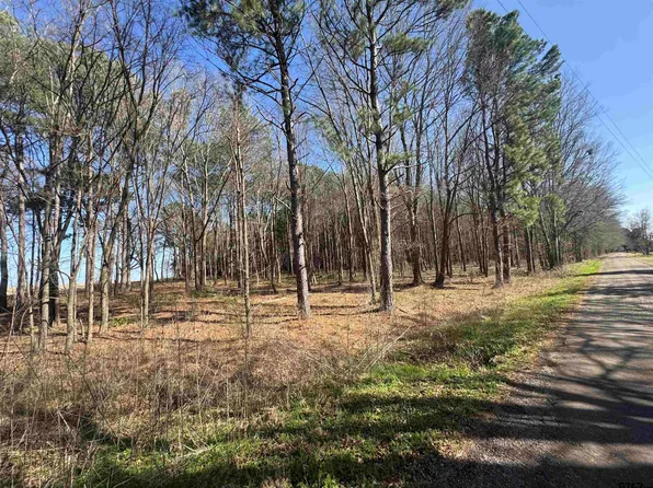 County Road 4310 #&-4313, Pittsburg, TX 75686