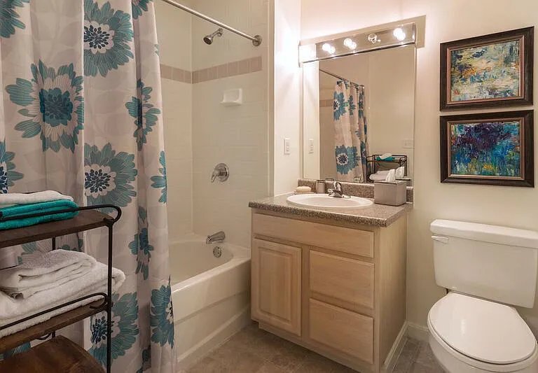 Guest Bathroom with Tub