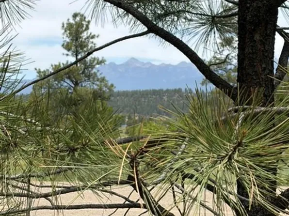 2321 Loma Linda Drive, Pagosa Springs, CO 81147