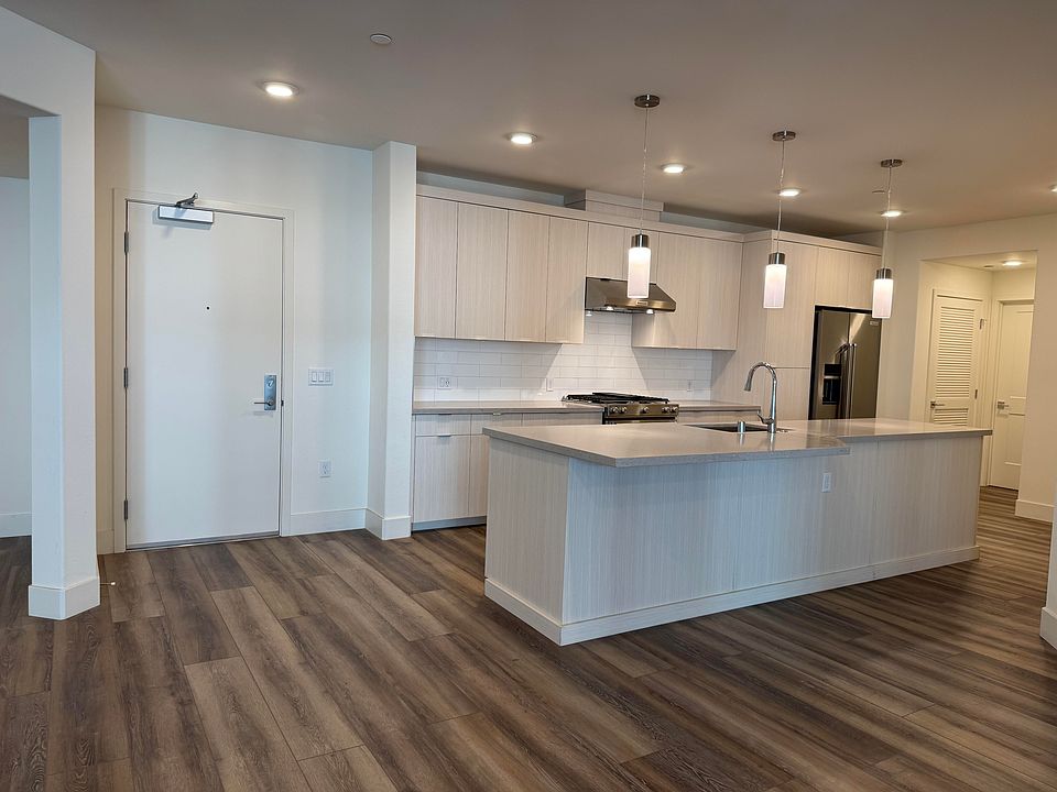 Entrance and Kitchen