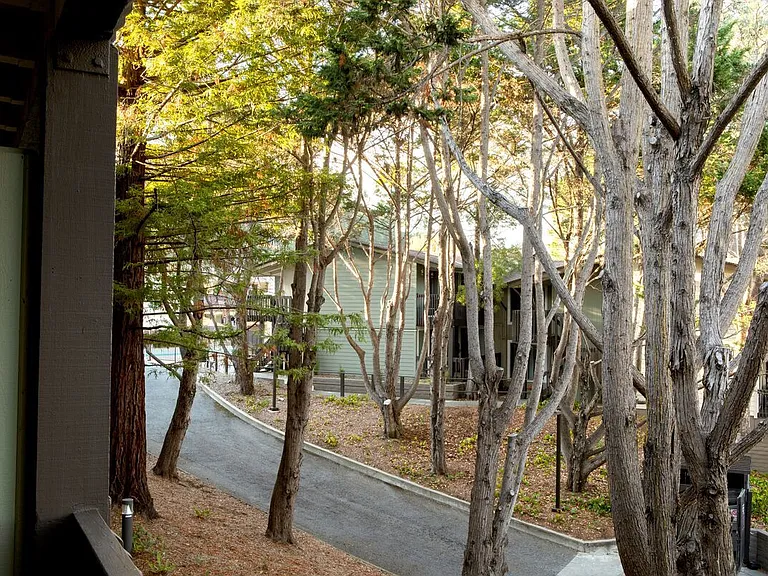 Crystal Springs Terrace — Photo 8