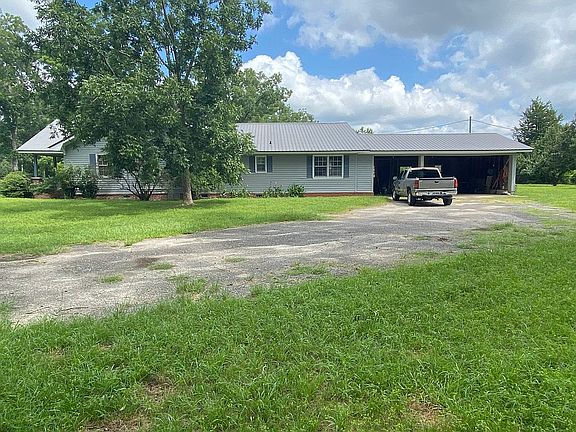 Right Side view, Pecan Tree