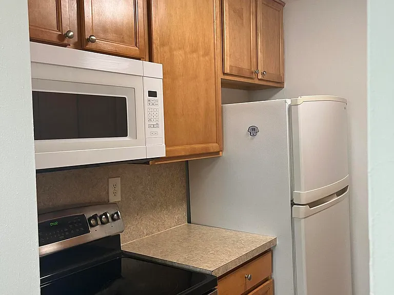 1250 Old Boynton Rd #317 — Photo 4