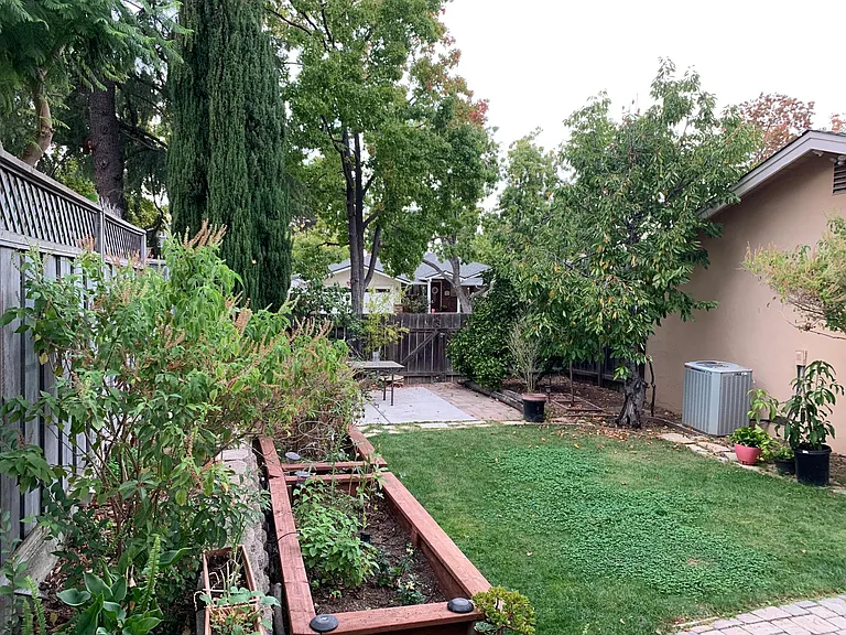 Backyard and vegetable garden
