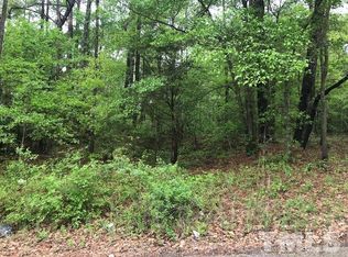 1005 Beacon Lake Dr, Raleigh, NC 27610