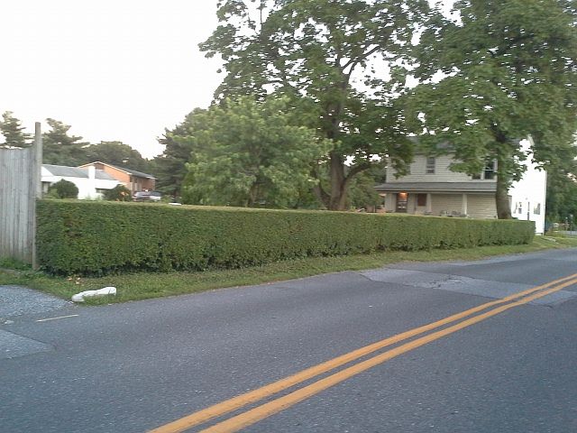 2nd image of 826 Reese Ave