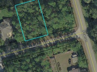 4 Wilkins Pl, Palm Coast, FL, 32164