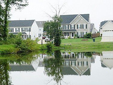 View from Pond