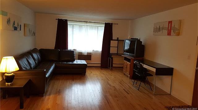 Large Spacious Living Room