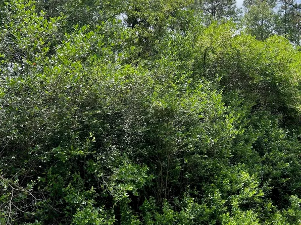 1560 Beech Road, Southport, NC 28461