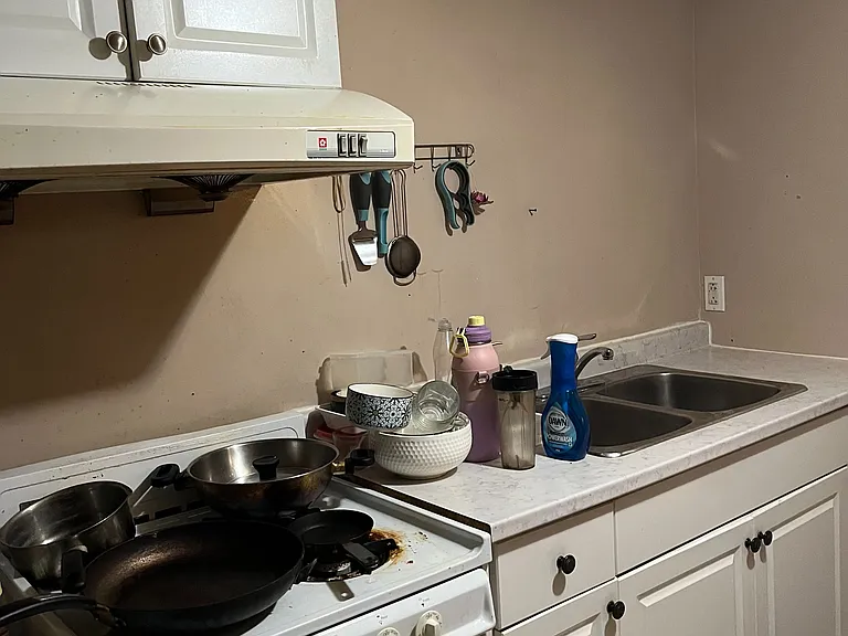 746 Lansdowne Ave #BASEMENT — Photo 16