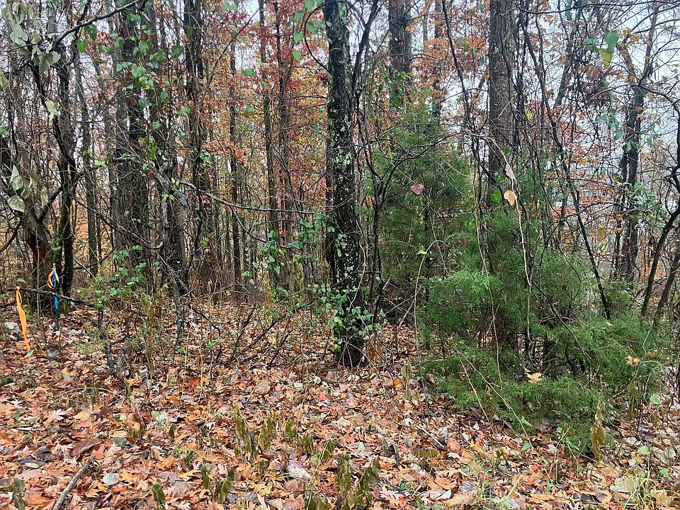 2nd image of 4 Timber Ridge Dr