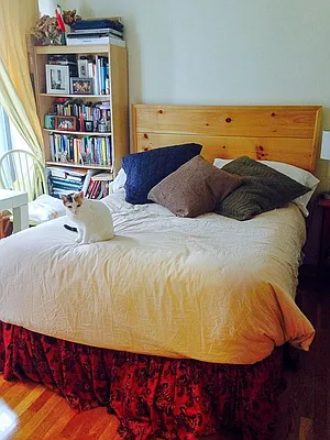 Rented by Francine Realty | media 13