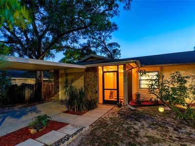 9812 N Pawnee Ave, Tampa, FL, 33617