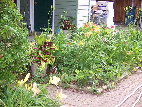 Part of front gardens
