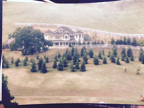 Surrounded with redwood tree