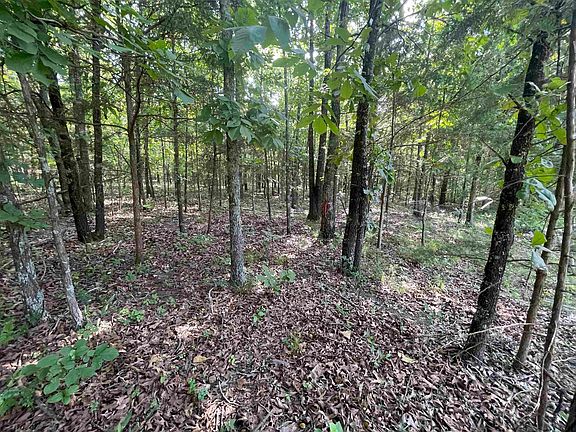 4th image of 743 The Day Rd