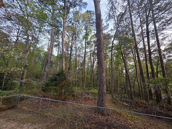 backyard view into San Luis Mission Park
