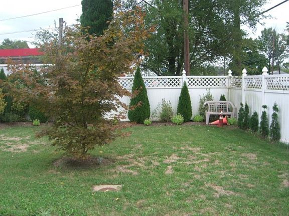Fenced in backyard