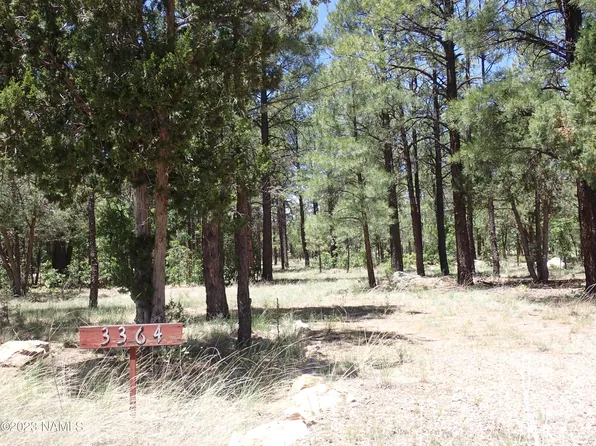 3364 Starlight Dr #356, Happy Jack, AZ 86024