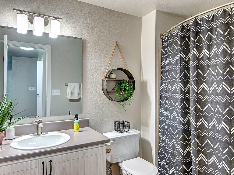 The Lynx Apartments — Photo 13
