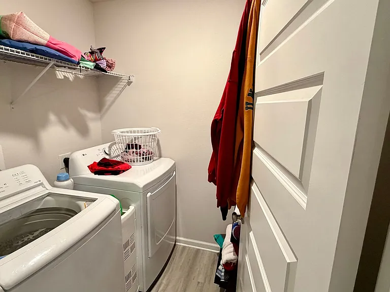 250 Boggy Creek Way — Photo 9