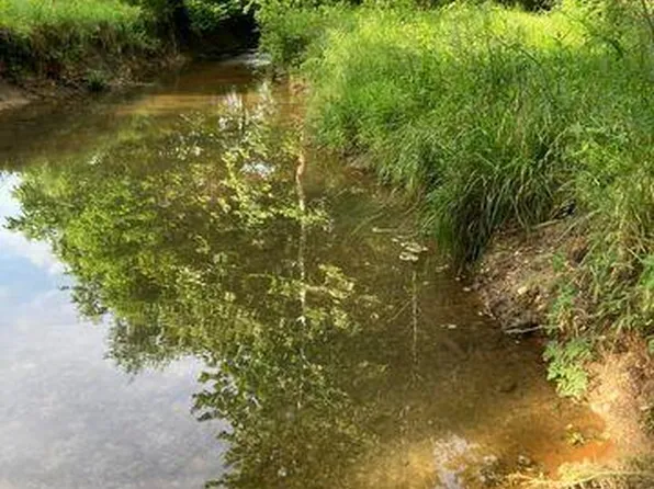 53 Oak Creek Drive, Fair Grove, MO 65648